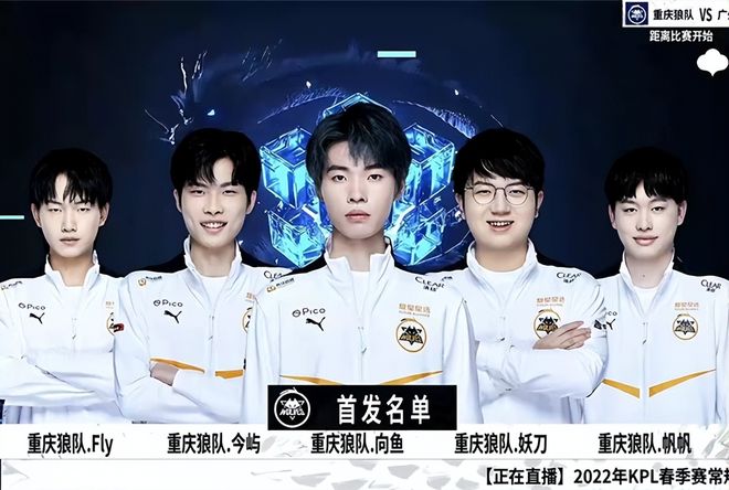 望世界赛